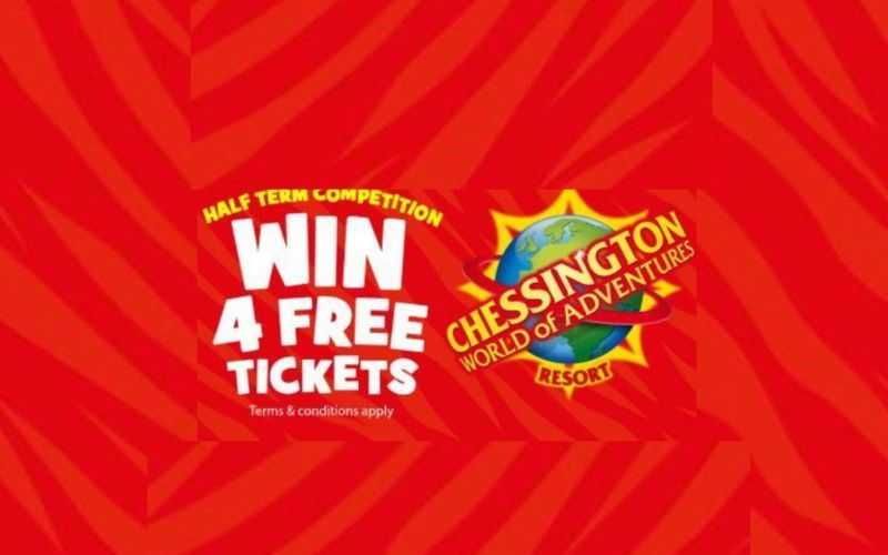 Night Zookeeper Interactive Experience at Chessington World of Adventures Resort thumbnail